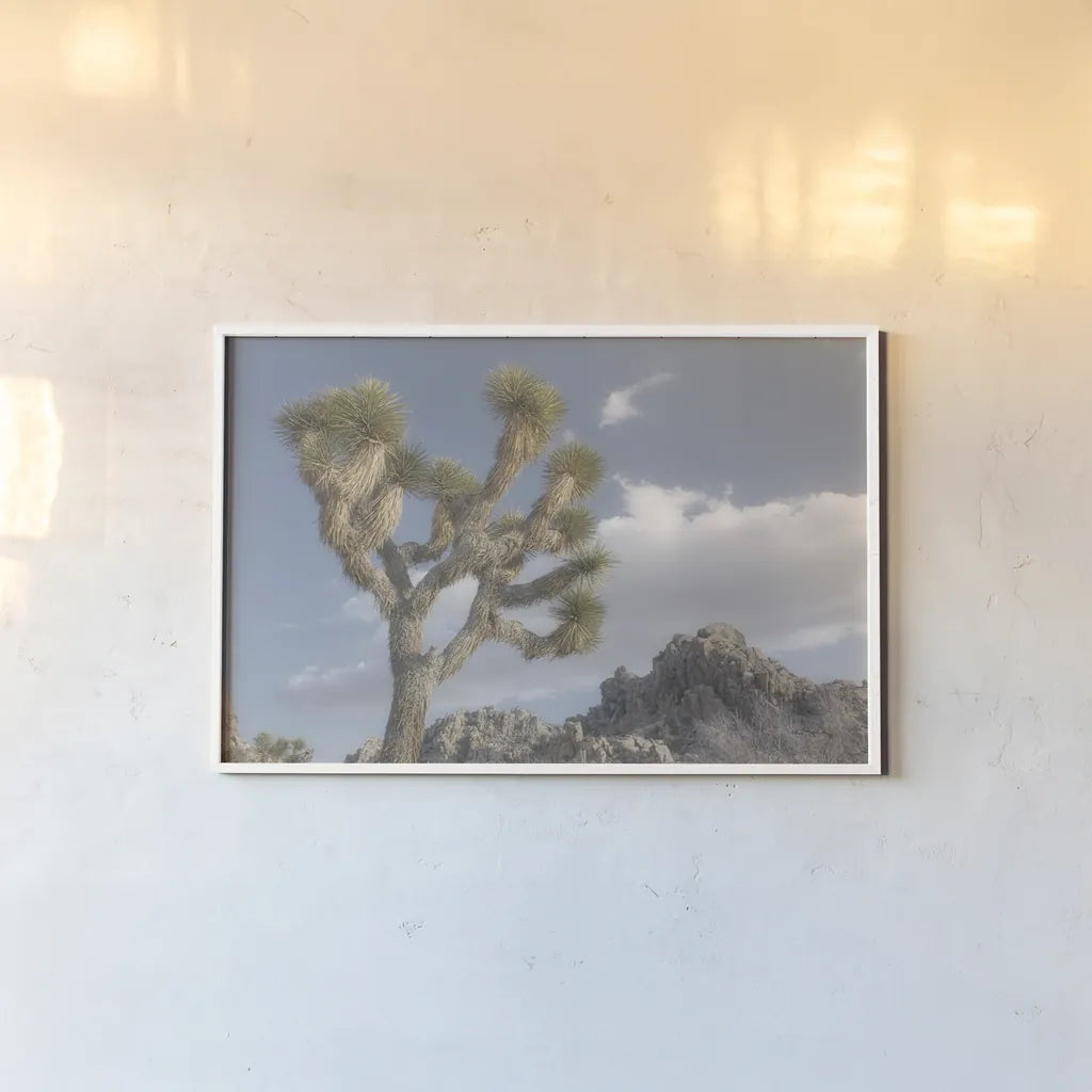 Joshua Tree National Park III by Alan Majchrowicz. shown as a paper print in a white frame. Available as a archival giclee rolled canvas, fine art paper, or poster print. SKU 61457i.
