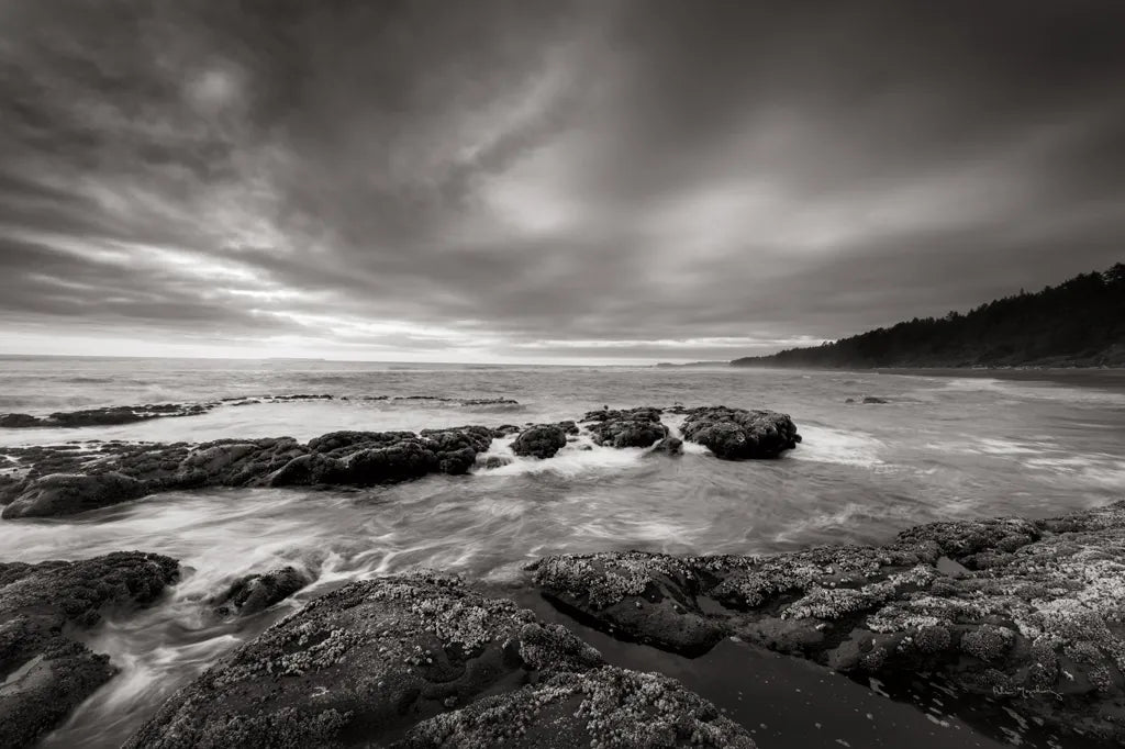 Kalaloch Beach by Alan Majchrowicz. SKU 64544i. Archival Giclee Fine art print for wall decor.