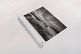 Kalaloch Beach by Alan Majchrowicz. shown as a rolled paper print. Available as archival giclee rolled canvas, fine art paper, or poster print. SKU 64544i.
