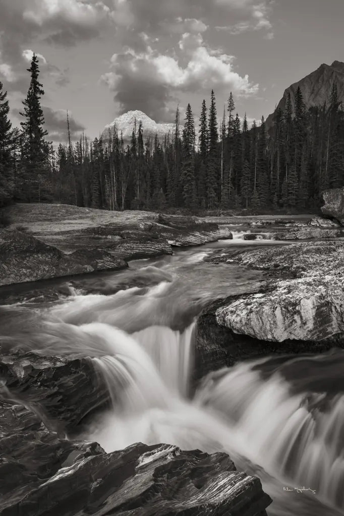 Kicking Horse River by Alan Majchrowicz. SKU 89101h. Archival Giclee Fine art print for wall decor.