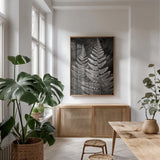 Lady Fern I by Alan Majchrowicz. shown as a print in a natural wood frame in a dining room. Available as a archival giclee rolled canvas, fine art paper, or poster print. SKU 46085h.