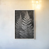 Lady Fern I by Alan Majchrowicz. shown as a paper print in a white frame. Available as a archival giclee rolled canvas, fine art paper, or poster print. SKU 46085h.