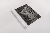 Lady Fern II by Alan Majchrowicz. shown as a rolled paper print. Available as archival giclee rolled canvas, fine art paper, or poster print. SKU 46086i.