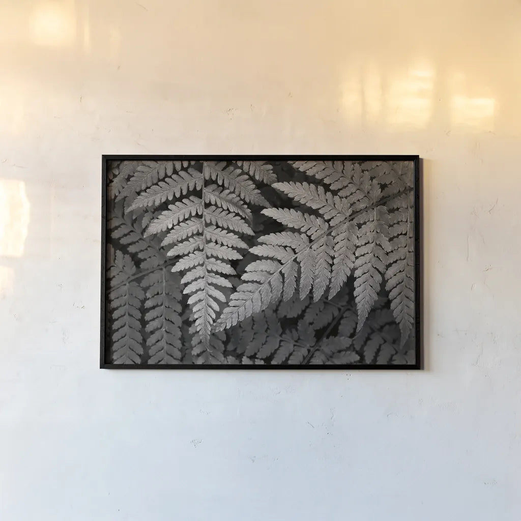 Lady Fern II by Alan Majchrowicz. shown as a paper print in a black flame. Available as a archival giclee rolled canvas, fine art paper, or poster print. SKU 46086i.