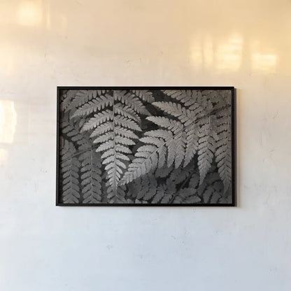 Lady Fern II by Alan Majchrowicz. shown as a paper print in a black flame. Available as a archival giclee rolled canvas, fine art paper, or poster print. SKU 46086i.