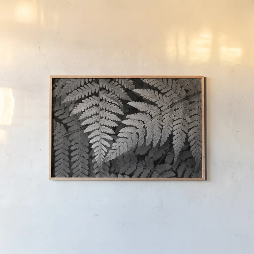Lady Fern II by Alan Majchrowicz. shown as a paper print in a natural frame. Available as a archival giclee rolled canvas, fine art paper, or poster print. SKU 46086i.