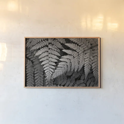 Lady Fern II by Alan Majchrowicz. shown as a paper print in a natural frame. Available as a archival giclee rolled canvas, fine art paper, or poster print. SKU 46086i.