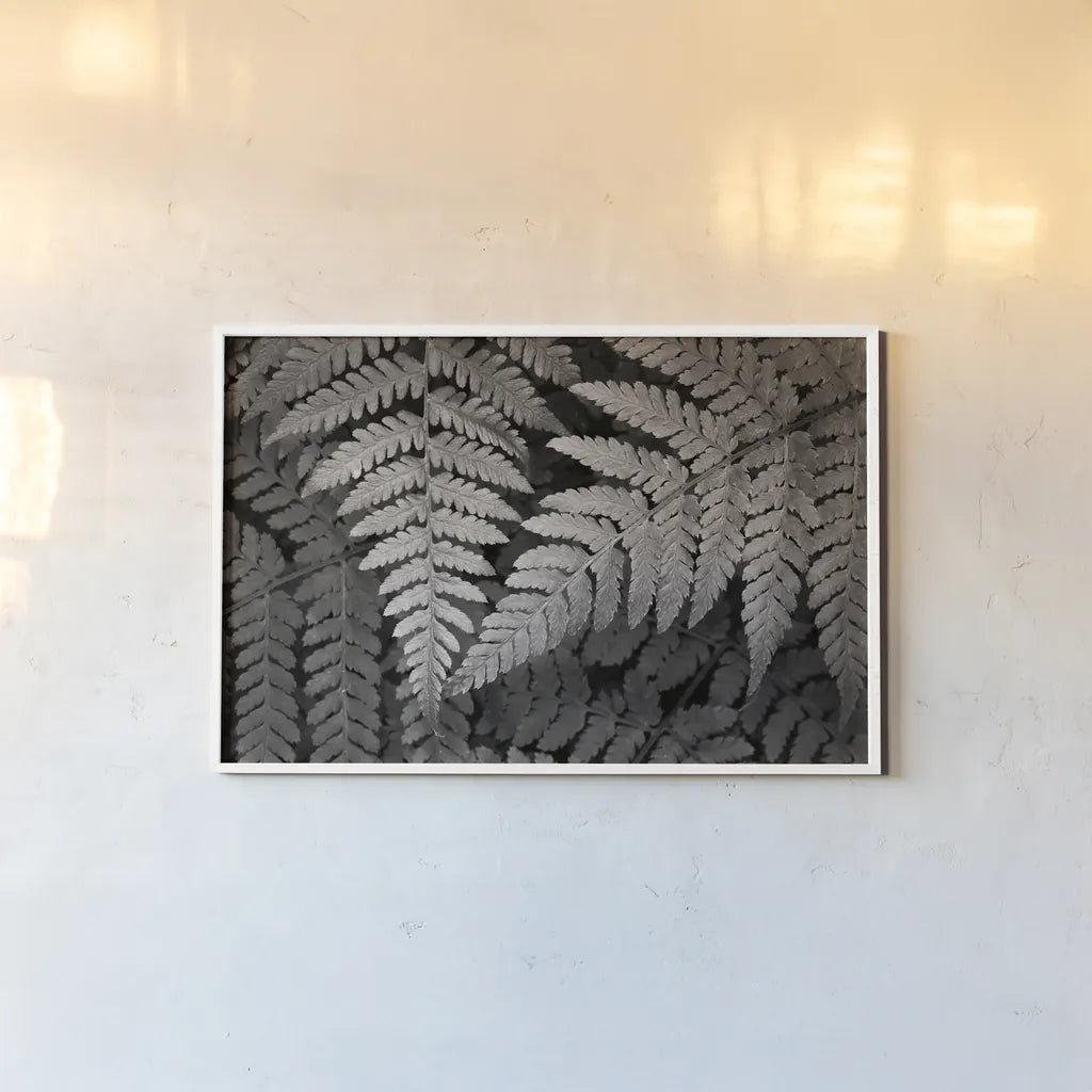 Lady Fern II by Alan Majchrowicz. shown as a paper print in a white frame. Available as a archival giclee rolled canvas, fine art paper, or poster print. SKU 46086i.
