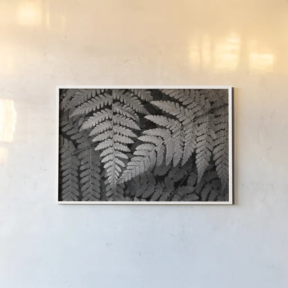 Lady Fern II by Alan Majchrowicz. shown as a paper print in a white frame. Available as a archival giclee rolled canvas, fine art paper, or poster print. SKU 46086i.