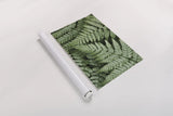 Lady Ferns II Color by Alan Majchrowicz. shown as a rolled paper print. Available as archival giclee rolled canvas, fine art paper, or poster print. SKU 63240i.