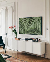Lady Ferns II Color by Alan Majchrowicz. shown as a framed stretched canvas in a living room above a console. Available as a archival giclee rolled canvas, fine art paper, or poster print. SKU 63240i.
