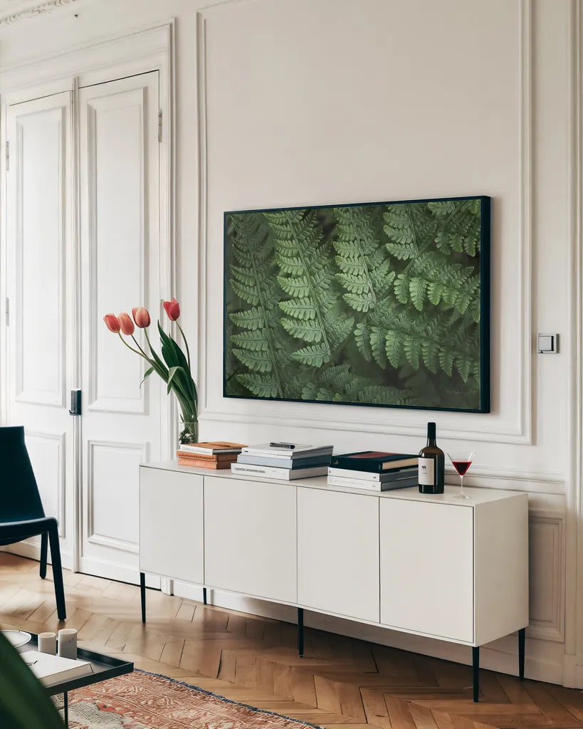 Lady Ferns IV Color by Alan Majchrowicz. shown as a framed stretched canvas in a living room above a console. Available as a archival giclee rolled canvas, fine art paper, or poster print. SKU 63242i.