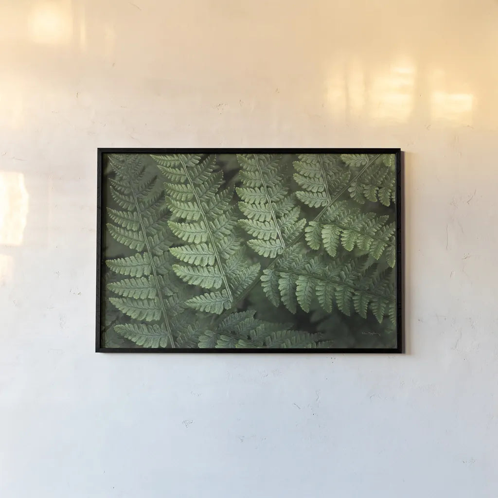 Lady Ferns IV Color by Alan Majchrowicz. shown as a paper print in a black flame. Available as a archival giclee rolled canvas, fine art paper, or poster print. SKU 63242i.