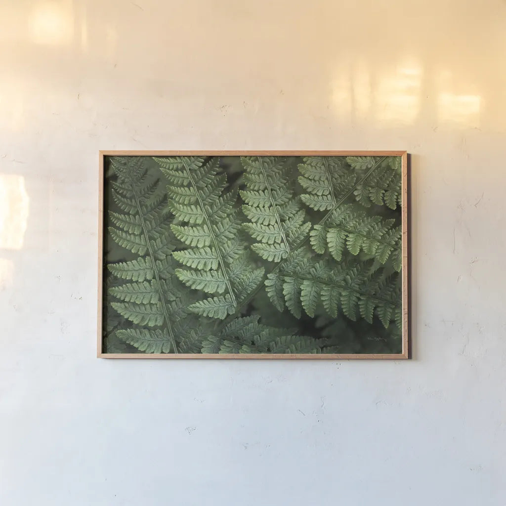 Lady Ferns IV Color by Alan Majchrowicz. shown as a paper print in a natural frame. Available as a archival giclee rolled canvas, fine art paper, or poster print. SKU 63242i.