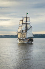 Lady Washington I by Alan Majchrowicz. SKU 46109h. Archival Giclee Fine art print for wall decor.