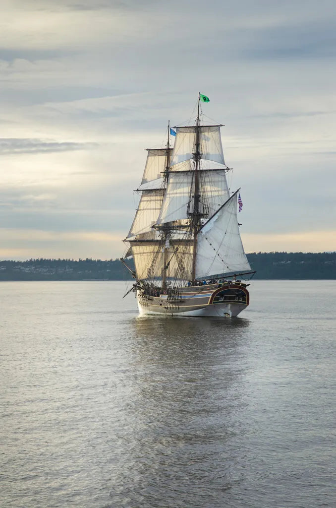 Lady Washington I by Alan Majchrowicz. SKU 46109h. Archival Giclee Fine art print for wall decor.