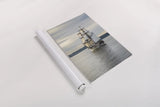 Lady Washington I by Alan Majchrowicz. shown as a rolled paper print. Available as archival giclee rolled canvas, fine art paper, or poster print. SKU 46109h.