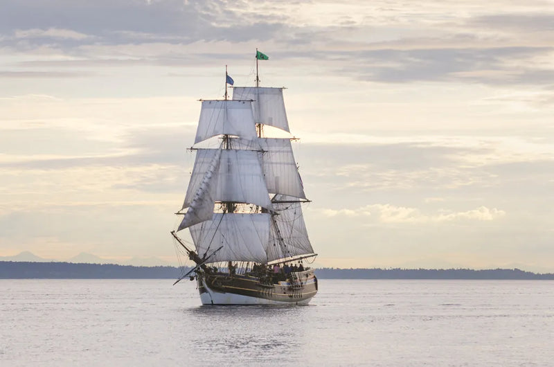 Lady Washington II by Alan Majchrowicz. SKU 46110i. Archival Giclee Fine art print for wall decor.