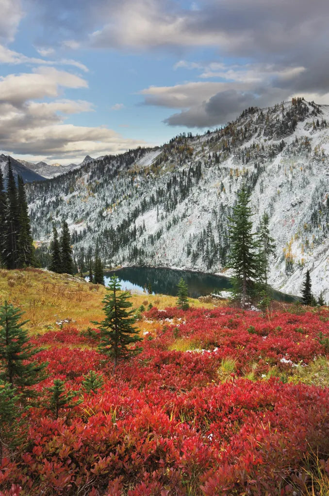 Lake Ann North Cascades  by Alan Majchrowicz. SKU 62393h. Archival Giclee Fine art print for wall decor.