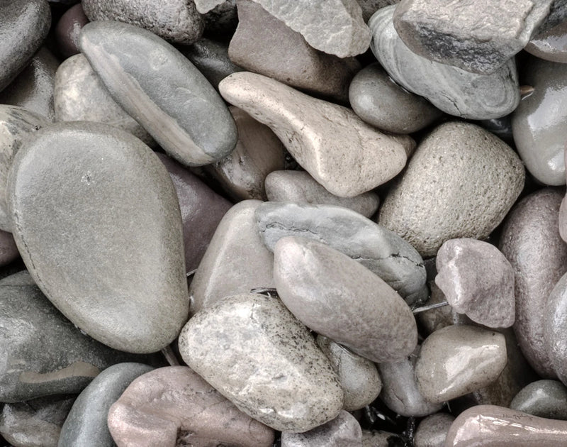 Lake Rocks I by Alan Majchrowicz