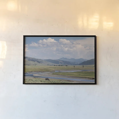 Lamar Valley Bison by Alan Majchrowicz. shown as a paper print in a black flame. Available as a archival giclee rolled canvas, fine art paper, or poster print. SKU 80847i.