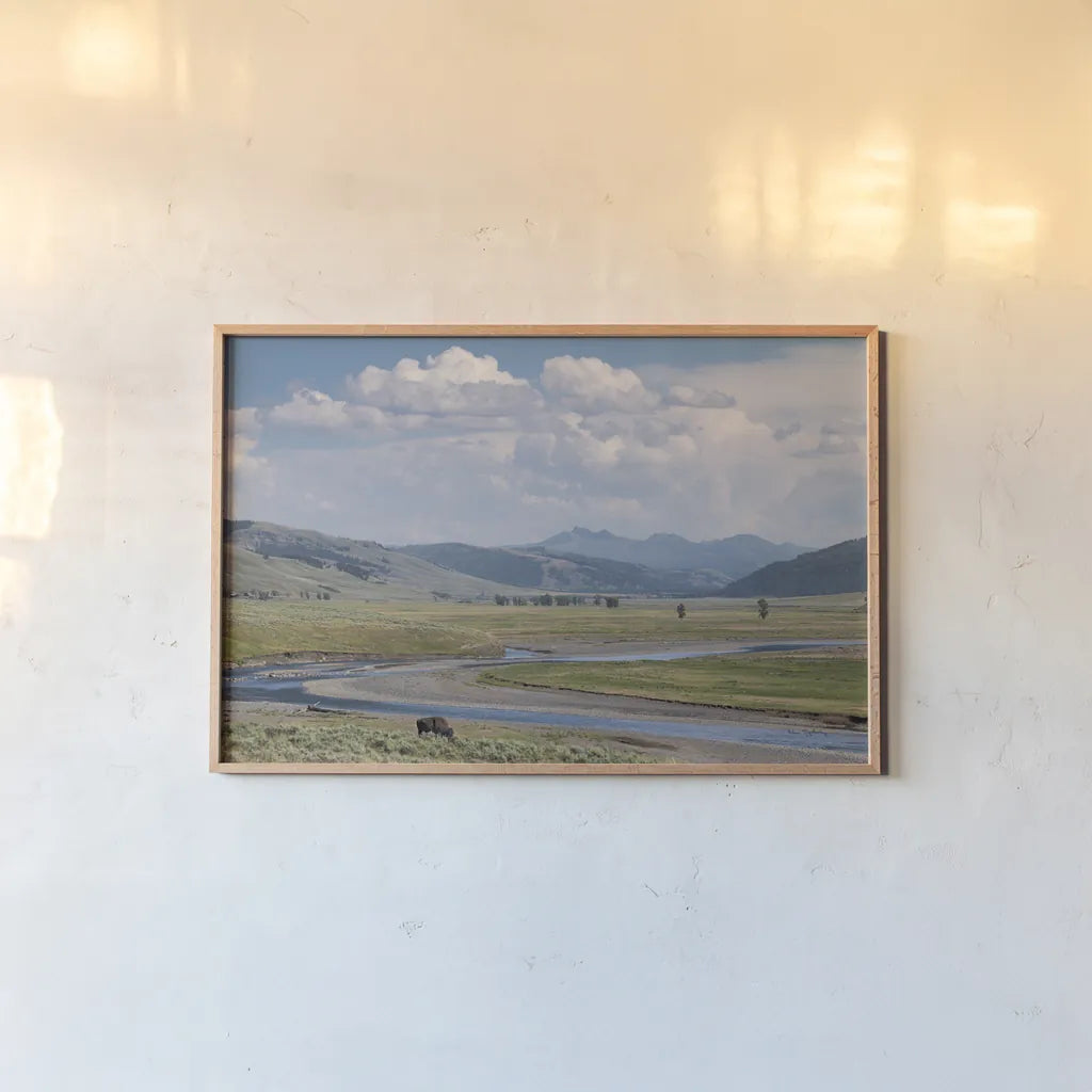 Lamar Valley Bison by Alan Majchrowicz. shown as a paper print in a natural frame. Available as a archival giclee rolled canvas, fine art paper, or poster print. SKU 80847i.