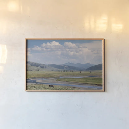 Lamar Valley Bison by Alan Majchrowicz. shown as a paper print in a natural frame. Available as a archival giclee rolled canvas, fine art paper, or poster print. SKU 80847i.