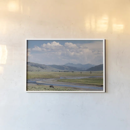 Lamar Valley Bison by Alan Majchrowicz. shown as a paper print in a white frame. Available as a archival giclee rolled canvas, fine art paper, or poster print. SKU 80847i.