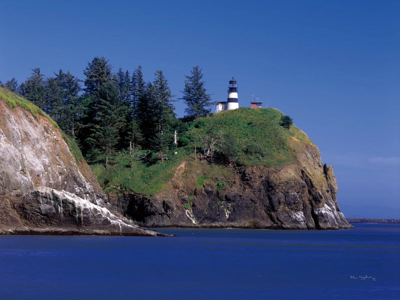 Lighthouse Washington Coast by Alan Majchrowicz