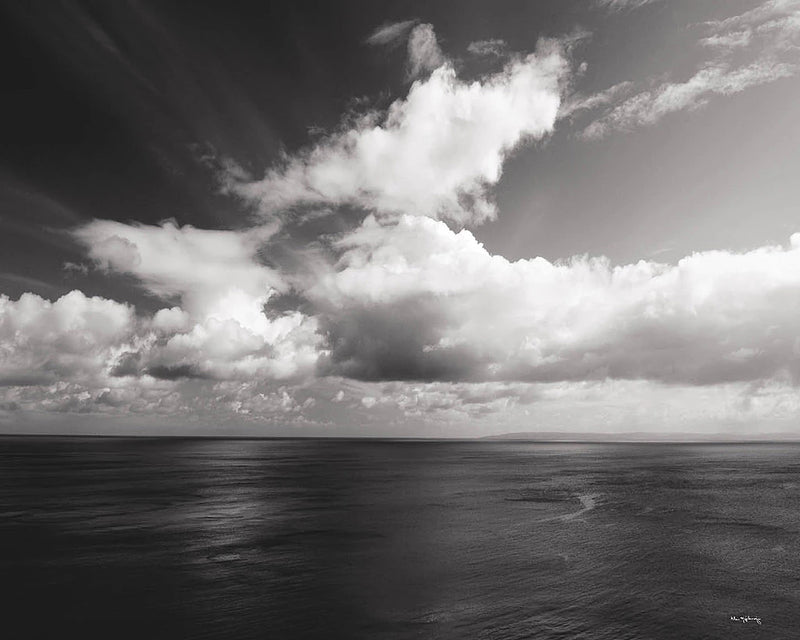 Looking Out BW by Alan Majchrowicz