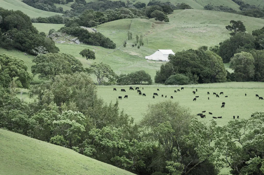 Marin California Ranch by Alan Majchrowicz. SKU 63234i. Archival Giclee Fine art print for wall decor.