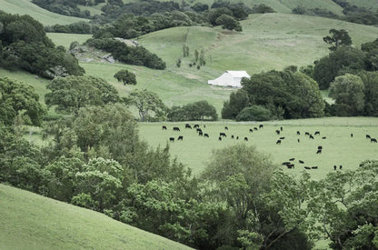 Marin California Ranch by Alan Majchrowicz. SKU 63234i. Archival Giclee Fine art print for wall decor.