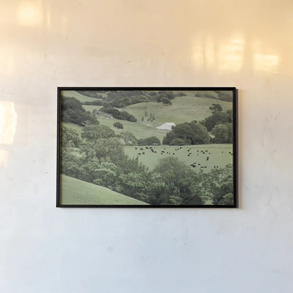 Marin California Ranch by Alan Majchrowicz. shown as a paper print in a black flame. Available as a archival giclee rolled canvas, fine art paper, or poster print. SKU 63234i.