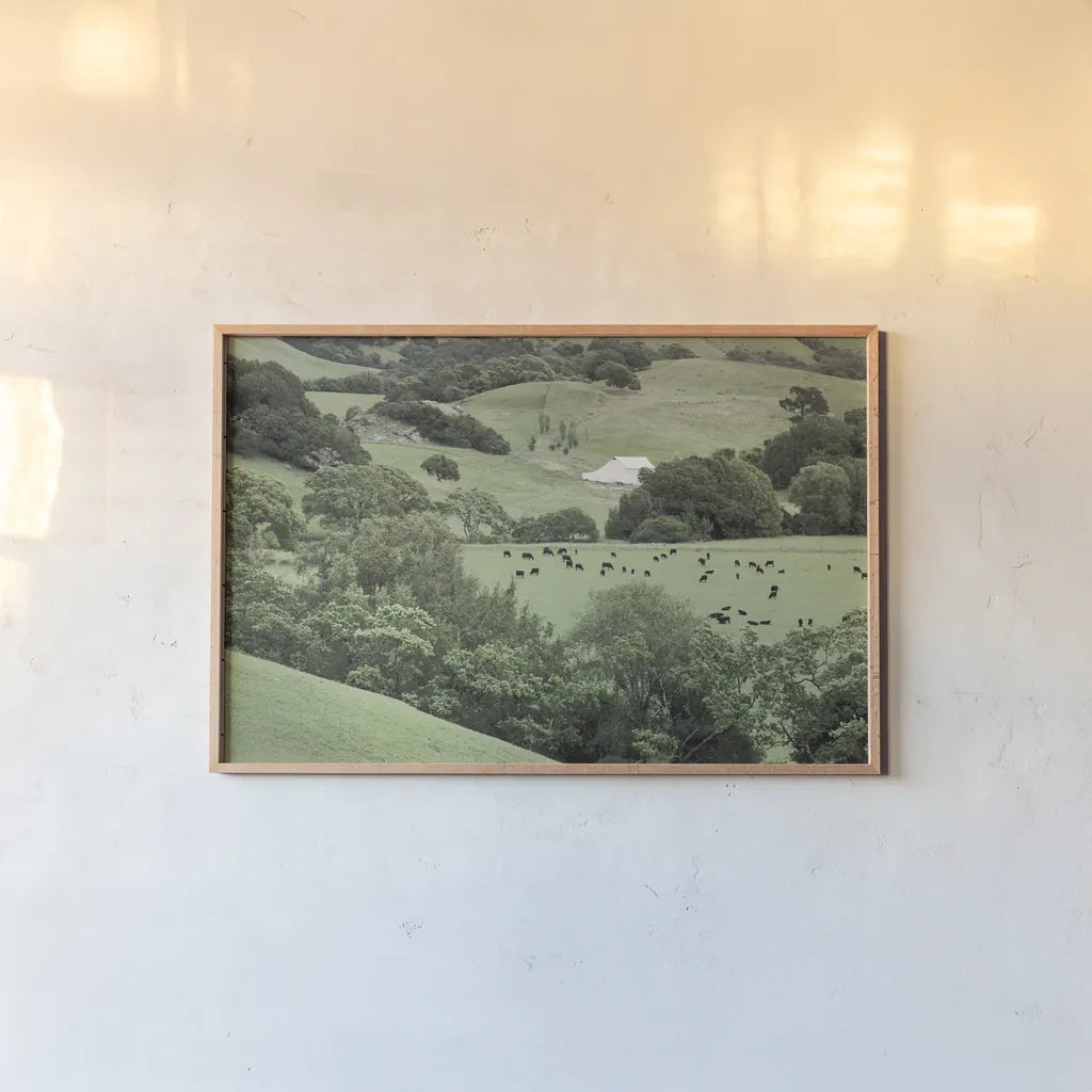 Marin California Ranch by Alan Majchrowicz. shown as a paper print in a natural frame. Available as a archival giclee rolled canvas, fine art paper, or poster print. SKU 63234i.