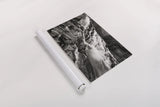 McDonald Creek Falls by Alan Majchrowicz. shown as a rolled paper print. Available as archival giclee rolled canvas, fine art paper, or poster print. SKU 27787i.