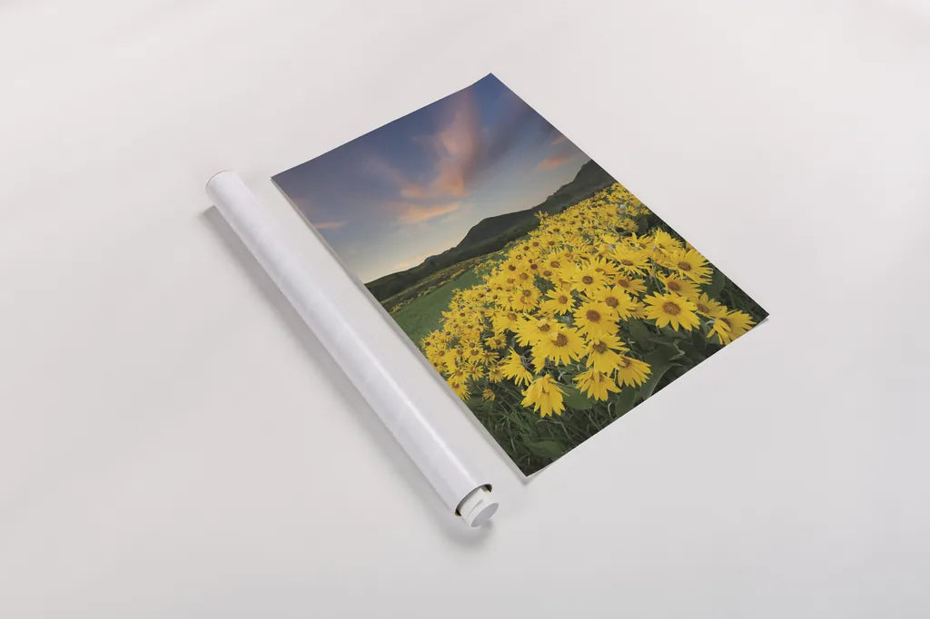 Methow Valley Wildflowers I by Alan Majchrowicz. shown as a rolled paper print. Available as archival giclee rolled canvas, fine art paper, or poster print. SKU 33790h.