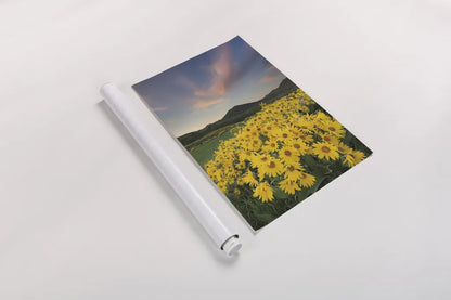 Methow Valley Wildflowers I by Alan Majchrowicz. shown as a rolled paper print. Available as archival giclee rolled canvas, fine art paper, or poster print. SKU 33790h.