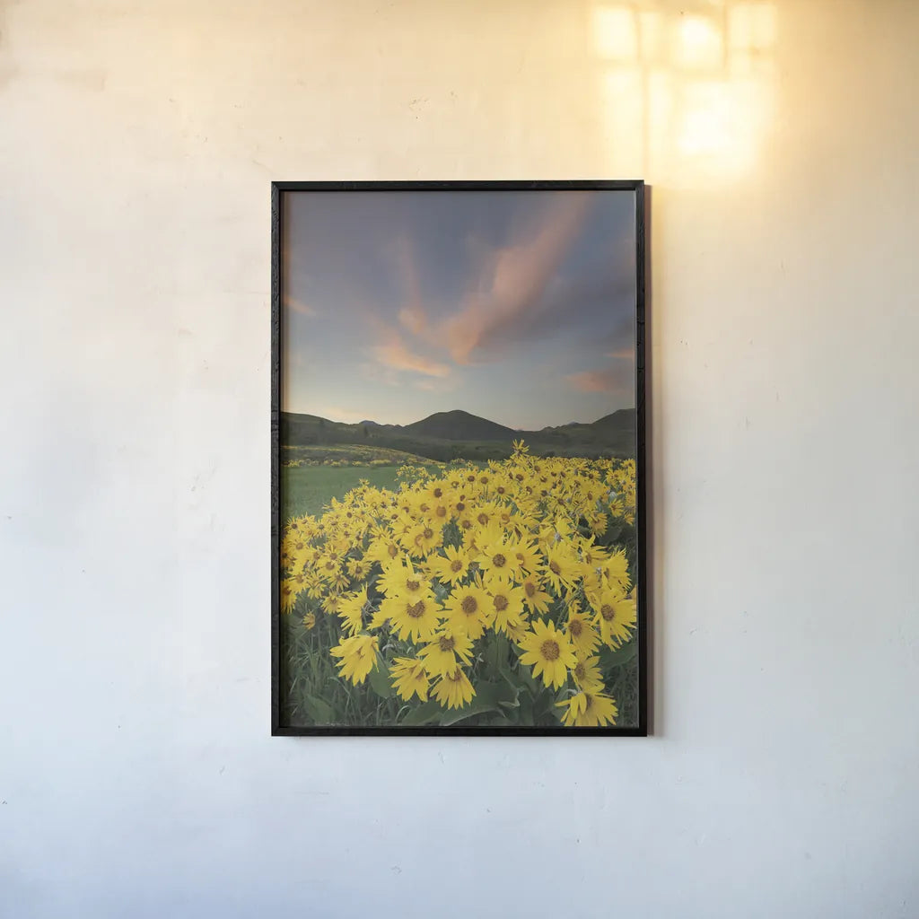 Methow Valley Wildflowers I by Alan Majchrowicz. shown as a paper print in a black flame. Available as a archival giclee rolled canvas, fine art paper, or poster print. SKU 33790h.