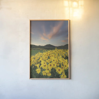 Methow Valley Wildflowers I by Alan Majchrowicz. shown as a paper print in a natural frame. Available as a archival giclee rolled canvas, fine art paper, or poster print. SKU 33790h.