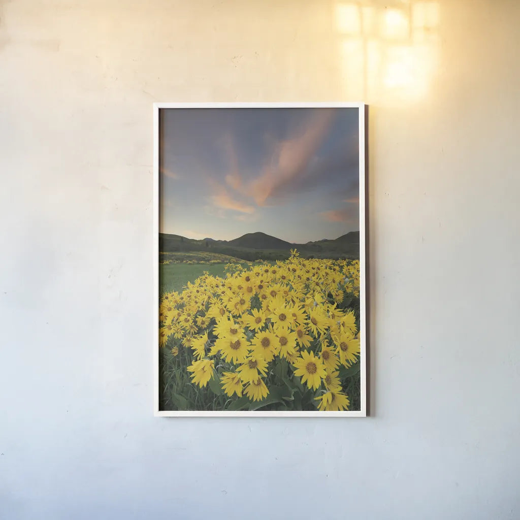 Methow Valley Wildflowers I by Alan Majchrowicz. shown as a paper print in a white frame. Available as a archival giclee rolled canvas, fine art paper, or poster print. SKU 33790h.