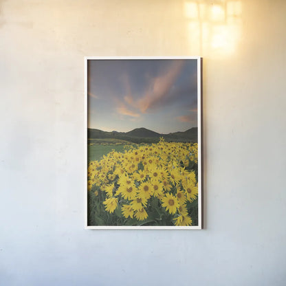 Methow Valley Wildflowers I by Alan Majchrowicz. shown as a paper print in a white frame. Available as a archival giclee rolled canvas, fine art paper, or poster print. SKU 33790h.