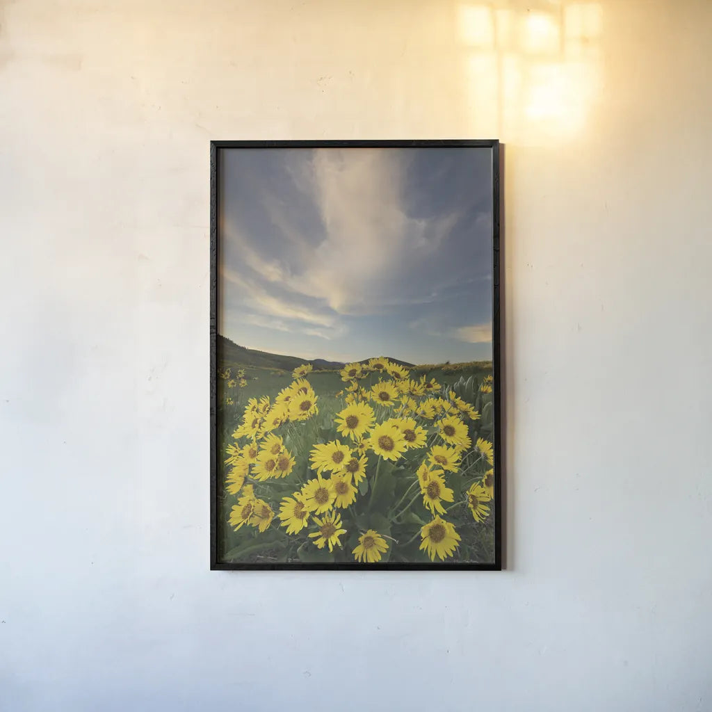 Methow Valley Wildflowers II by Alan Majchrowicz. shown as a paper print in a black flame. Available as a archival giclee rolled canvas, fine art paper, or poster print. SKU 33791h.