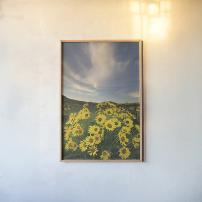 Methow Valley Wildflowers II by Alan Majchrowicz. shown as a paper print in a natural frame. Available as a archival giclee rolled canvas, fine art paper, or poster print. SKU 33791h.