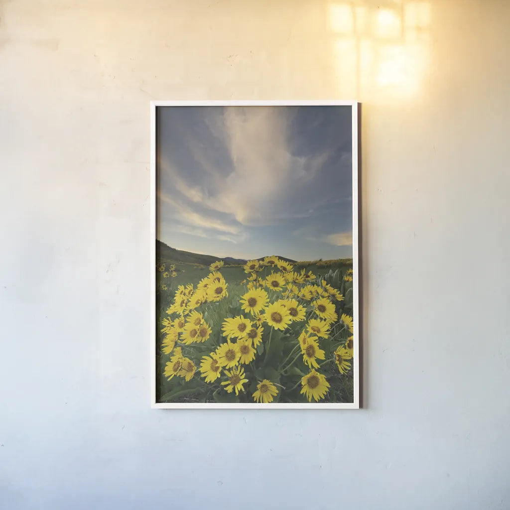 Methow Valley Wildflowers II by Alan Majchrowicz. shown as a paper print in a white frame. Available as a archival giclee rolled canvas, fine art paper, or poster print. SKU 33791h.