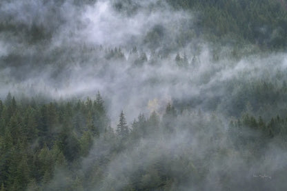 Misty Mountains North Cascades by Alan Majchrowicz. SKU 81528i. Archival Giclee Fine art print for wall decor.