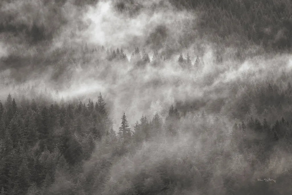 Misty Mountains North Cascades by Alan Majchrowicz. SKU 81529i. Archival Giclee Fine art print for wall decor.