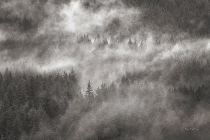 Misty Mountains North Cascades by Alan Majchrowicz. SKU 81529i. Archival Giclee Fine art print for wall decor.