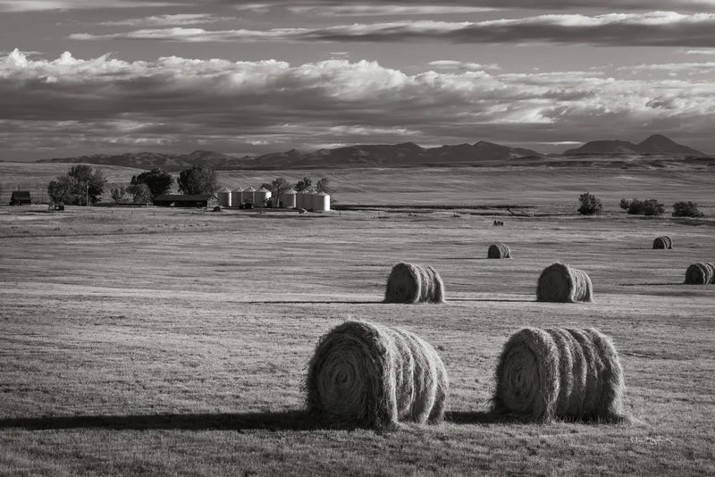 Montana Hay Bales by Alan Majchrowicz. SKU 88894i. Archival Giclee Fine art print for wall decor.
