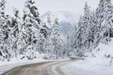 Mount Baker Highway I by Alan Majchrowicz. SKU 60619i. Archival Giclee Fine art print for wall decor.