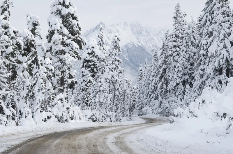 Mount Baker Highway I by Alan Majchrowicz. SKU 60619i. Archival Giclee Fine art print for wall decor.